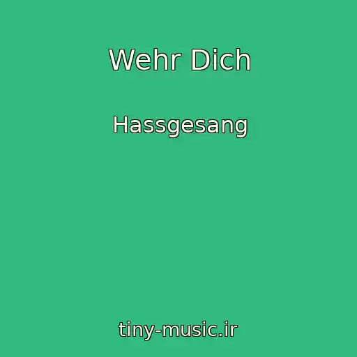 کاور آهنگ Wehr Dich از Hassgesang