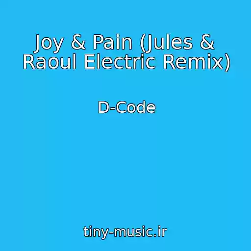 کاور آهنگ Joy & Pain (Jules & Raoul Electric Remix) از D-Code