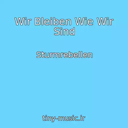 کاور آهنگ Wir Bleiben Wie Wir Sind از Sturmrebellen