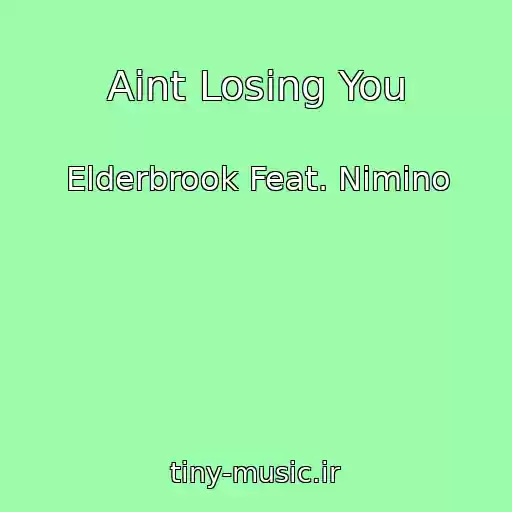 کاور آهنگ Aint Losing You از Elderbrook Feat. Nimino