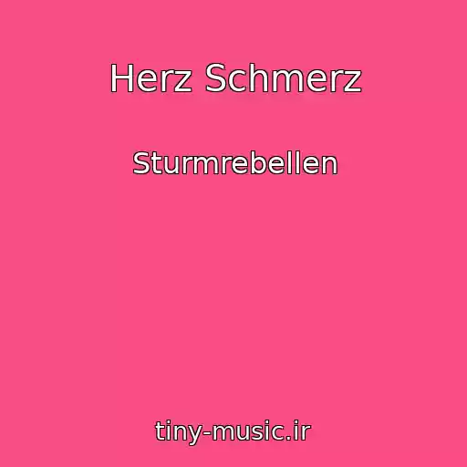 کاور آهنگ Herz Schmerz از Sturmrebellen