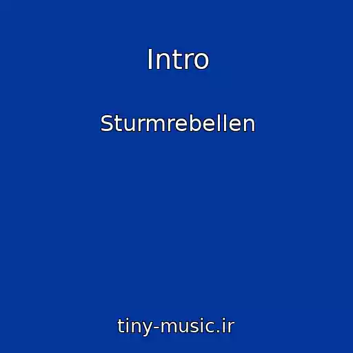 کاور آهنگ Intro از Sturmrebellen