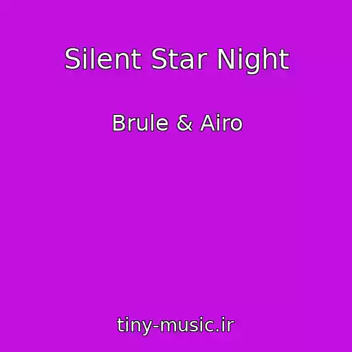 کاور آهنگ Silent Star Night از Brule & Airo