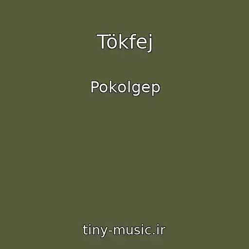 کاور آهنگ Tökfej از Pokolgep