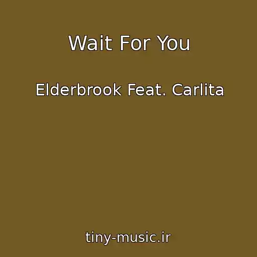 کاور آهنگ Wait For You از Elderbrook Feat. Carlita