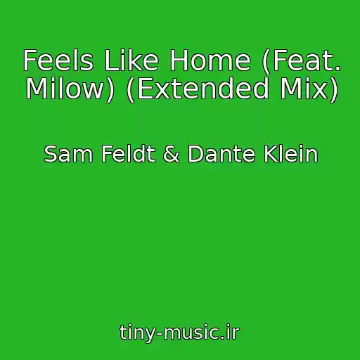 کاور آهنگ Feels Like Home (Feat. Milow) (Extended Mix) از Sam Feldt & Dante Klein