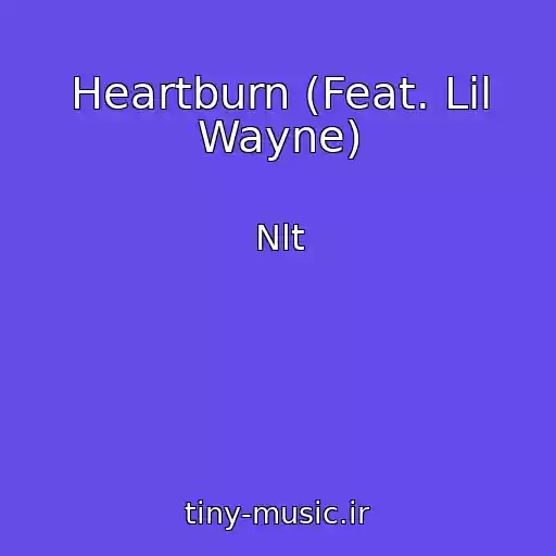 کاور آهنگ Heartburn (Feat. Lil Wayne) از Nlt