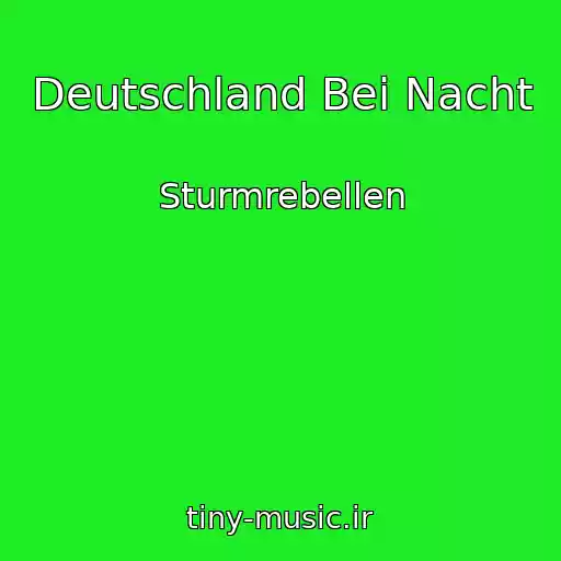 کاور آهنگ Deutschland Bei Nacht از Sturmrebellen