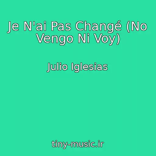 کاور آهنگ Je N'ai Pas Changé (No Vengo Ni Voy) از Julio Iglesias