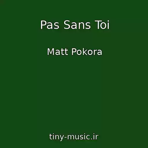 کاور آهنگ Pas Sans Toi از Matt Pokora