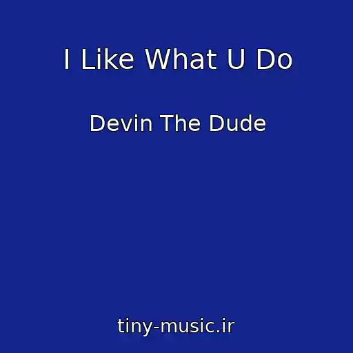 کاور آهنگ I Like What U Do از Devin The Dude