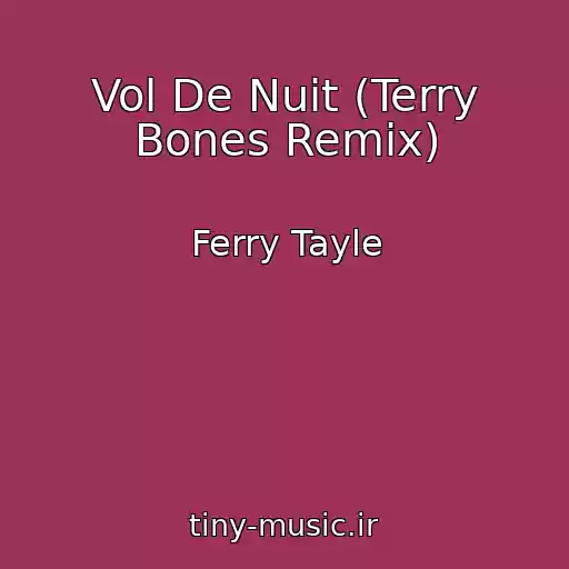 کاور آهنگ Vol De Nuit (Terry Bones Remix) از Ferry Tayle