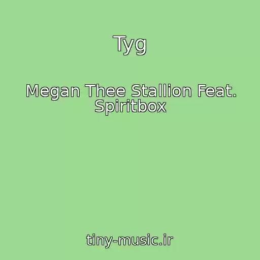 کاور آهنگ Tyg از Megan Thee Stallion Feat. Spiritbox