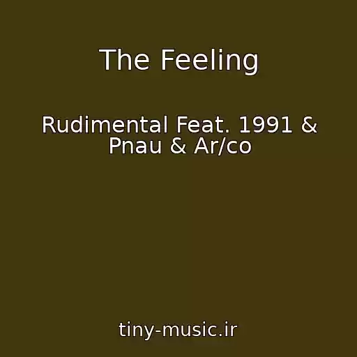 کاور آهنگ The Feeling از Rudimental Feat. 1991 & Pnau & Ar/co