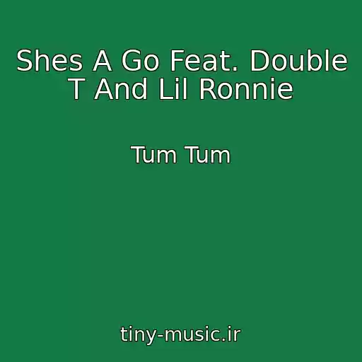 کاور آهنگ Shes A Go Feat. Double T And Lil Ronnie از Tum Tum