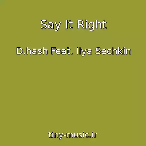 کاور آهنگ Say It Right از D.hash Feat. Ilya Sechkin