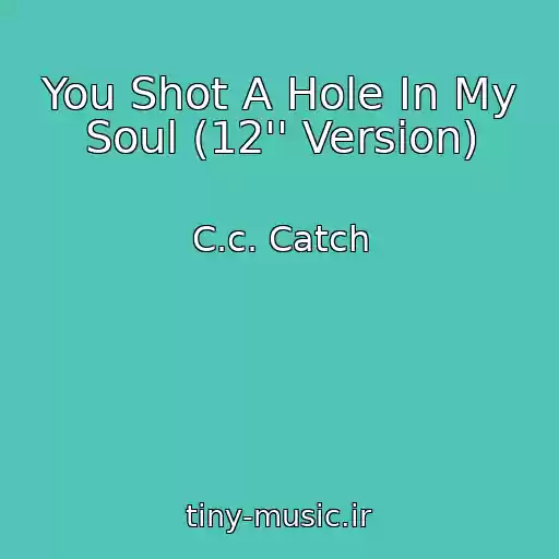 کاور آهنگ You Shot A Hole In My Soul (12'' Version) از C.c. Catch