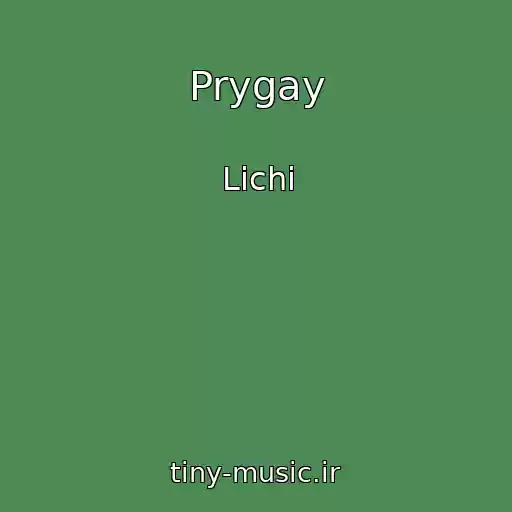 کاور آهنگ Prygay از Lichi