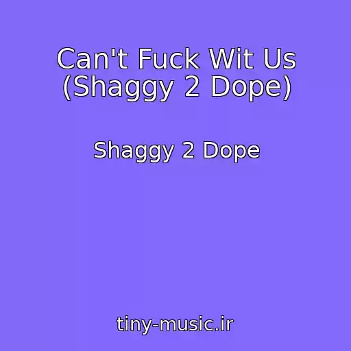 کاور آهنگ Can't Fuck Wit Us (Shaggy 2 Dope) از Shaggy 2 Dope