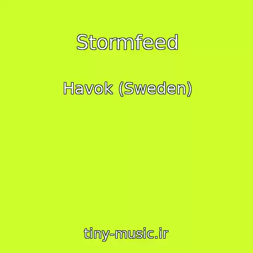 کاور آهنگ Stormfeed از Havok (Sweden)