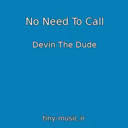 کاور آهنگ No Need To Call از Devin The Dude