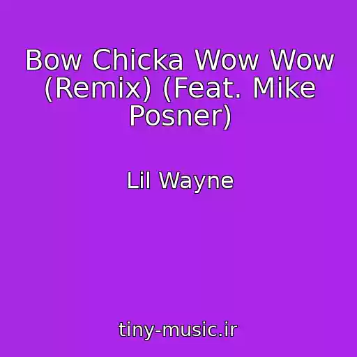 کاور آهنگ Bow Chicka Wow Wow (Remix) (Feat. Mike Posner) از Lil Wayne