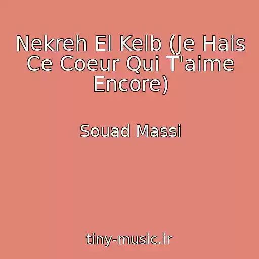 کاور آهنگ Nekreh El Kelb (Je Hais Ce Coeur Qui T'aime Encore) از Souad Massi