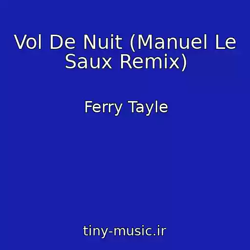 کاور آهنگ Vol De Nuit (Manuel Le Saux Remix) از Ferry Tayle