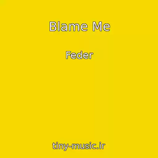 کاور آهنگ Blame Me از Feder