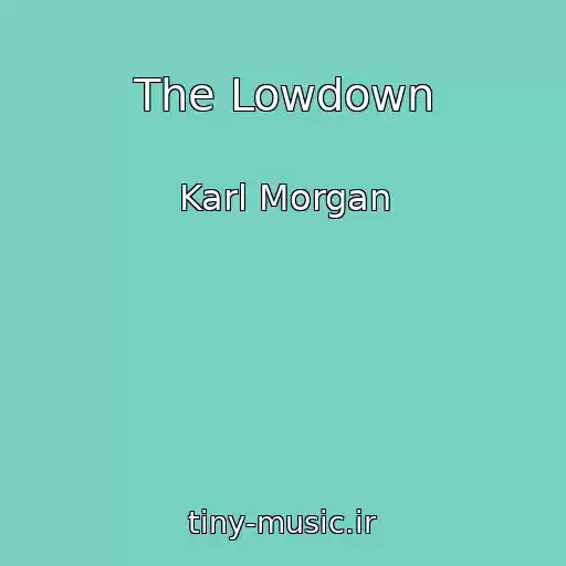 کاور آهنگ The Lowdown از Karl Morgan
