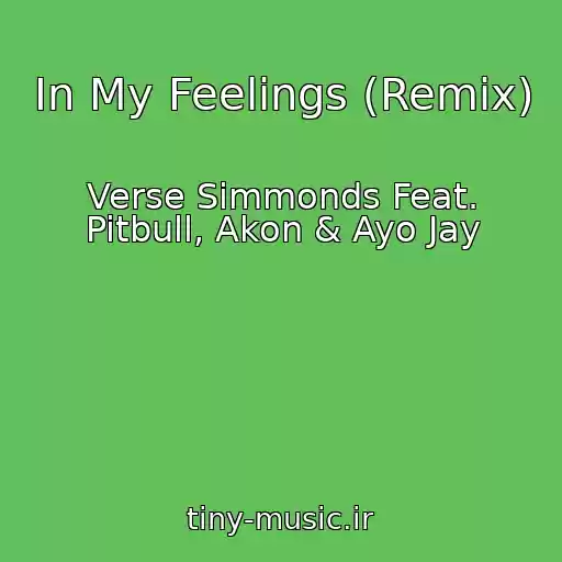 کاور آهنگ In My Feelings (Remix) از Verse Simmonds Feat. Pitbull, Akon & Ayo Jay