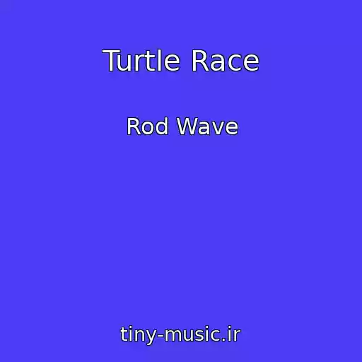 کاور آهنگ Turtle Race از Rod Wave
