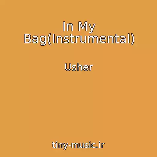کاور آهنگ In My Bag(Instrumental) از Usher