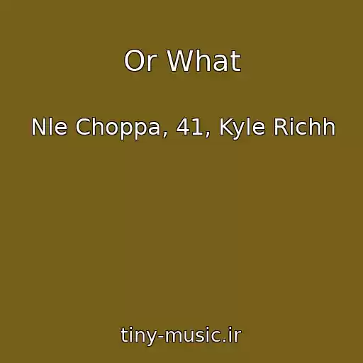 کاور آهنگ Or What از Nle Choppa, 41, Kyle Richh