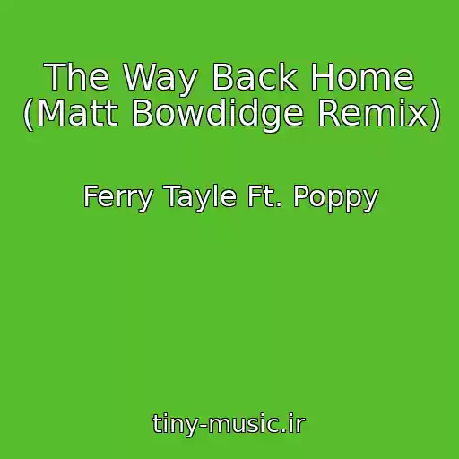 کاور آهنگ The Way Back Home (Matt Bowdidge Remix) از Ferry Tayle Ft. Poppy