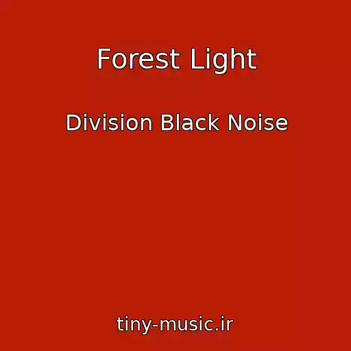 کاور آهنگ Forest Light از Division Black Noise