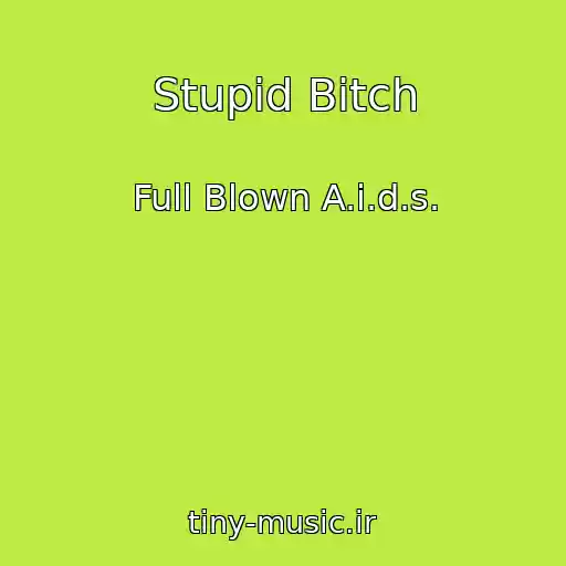 کاور آهنگ Stupid Bitch از Full Blown A.i.d.s.