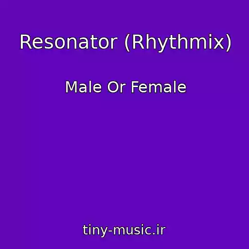 کاور آهنگ Resonator (Rhythmix) از Male Or Female