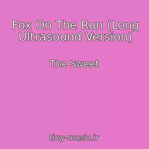 کاور آهنگ Fox On The Run (Long Ultrasound Version) از The Sweet