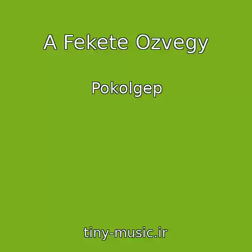 کاور آهنگ A Fekete Ozvegy از Pokolgep