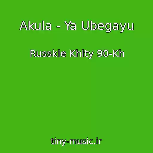کاور آهنگ Akula - Ya Ubegayu از Russkie Khity 90-Kh