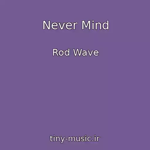 کاور آهنگ Never Mind از Rod Wave
