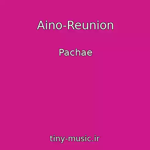 کاور آهنگ Aino-Reunion از Pachae