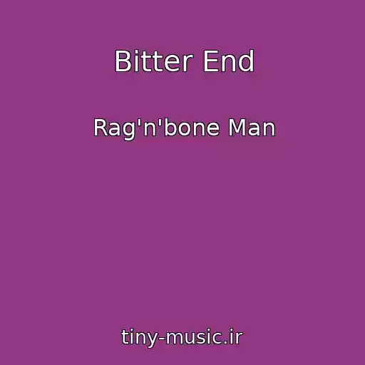 کاور آهنگ Bitter End از Rag'n'bone Man