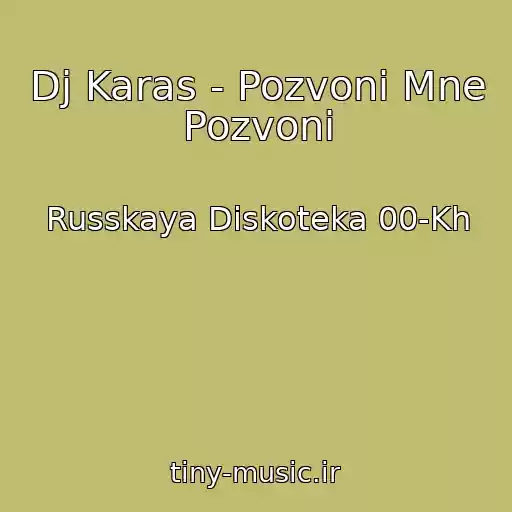 کاور آهنگ Dj Karas - Pozvoni Mne Pozvoni از Russkaya Diskoteka 00-Kh