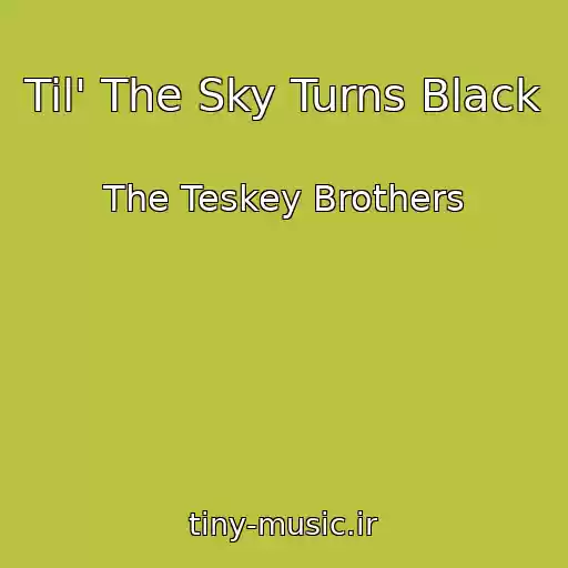 کاور آهنگ Til' The Sky Turns Black از The Teskey Brothers