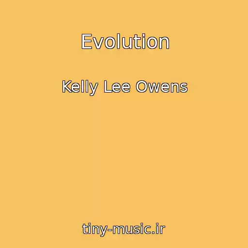 کاور آهنگ Evolution از Kelly Lee Owens