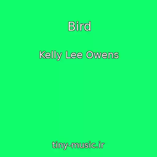 کاور آهنگ Bird از Kelly Lee Owens