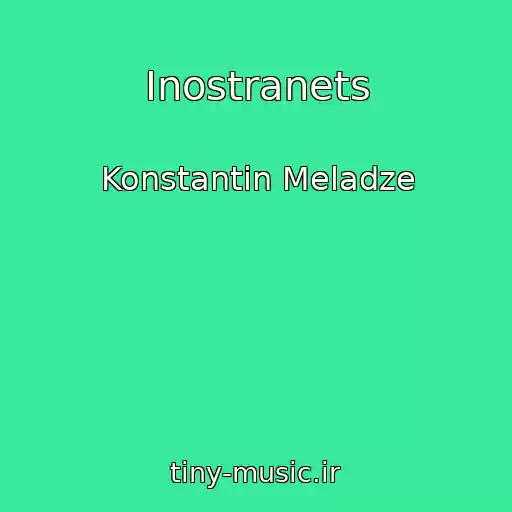 کاور آهنگ Inostranets از Konstantin Meladze