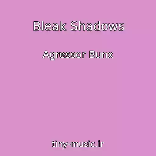 کاور آهنگ Bleak Shadows از Agressor Bunx
